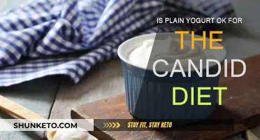 Yogurt and Candida Diet: What You Need to Know