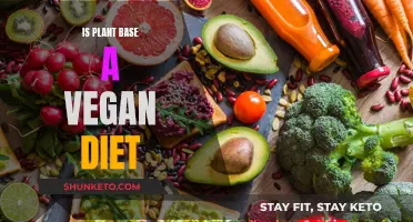 Veganism and Plant-Based Diets: What's the Difference?