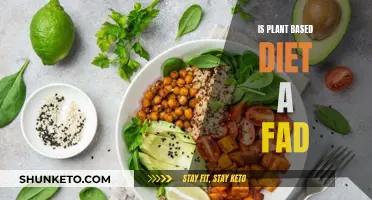 Plant-Based Diets: Fad or Future of Food?