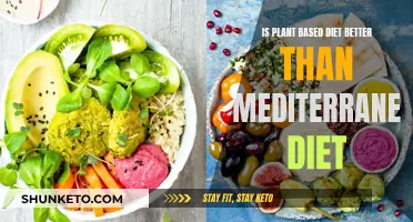 Plant-Based vs. Mediterranean: Which Diet is Superior?