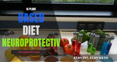 Plant-Based Diets: Neuroprotective Powerhouses?