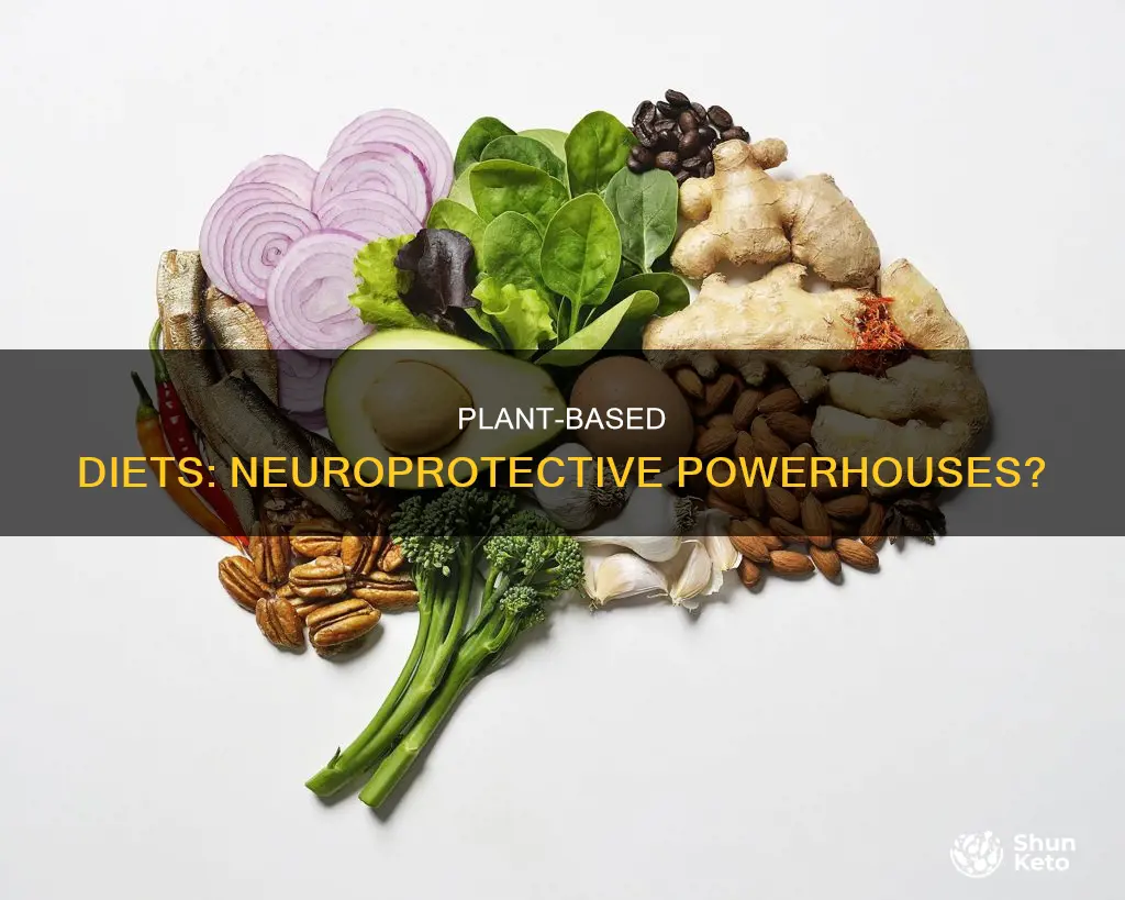 is plant based diet neuroprotective