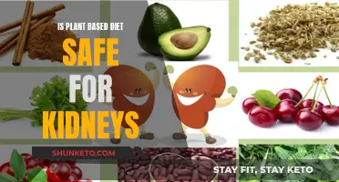 Plant-Based Diets: Kidney Health Benefits and Risks Explored