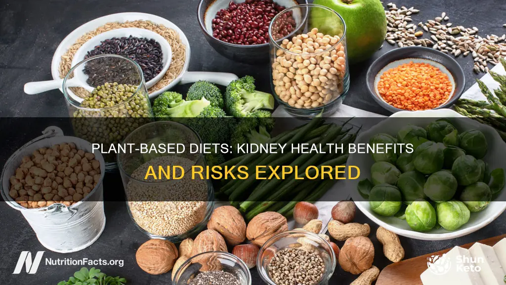 is plant based diet safe for kidneys