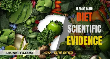 Plant-Based Diets: Scientific Evidence and Nutrition Facts