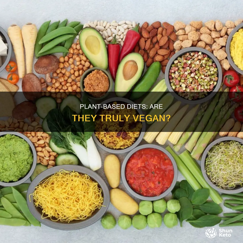 is plant based diet the same as vegan