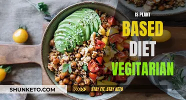 Plant-Based Diets: Vegetarianism's Healthier, Eco-Friendly Cousin?