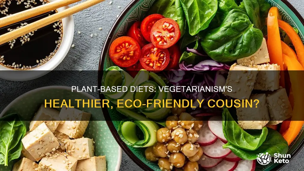 is plant based diet vegitarian