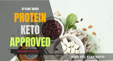 Keto and Plant-Based Protein: What's the Verdict?