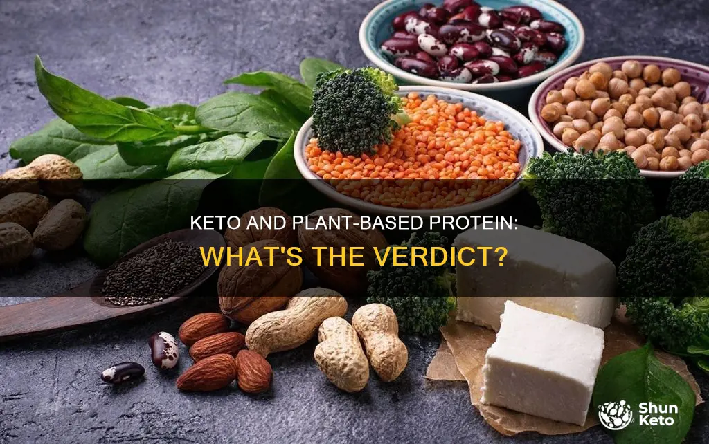 is plant based protein keto approved