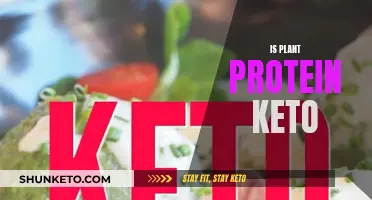 Plant Protein on Keto: What You Need to Know