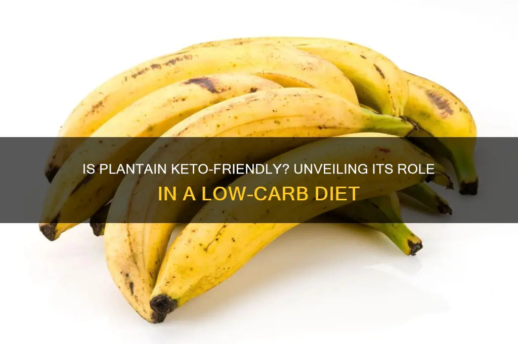 is plantain keto diet