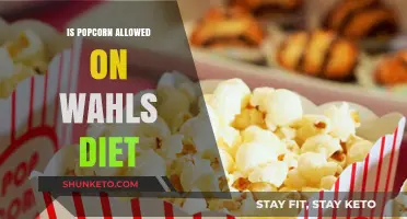 Popcorn on the Wahls Diet: Is It Allowed?