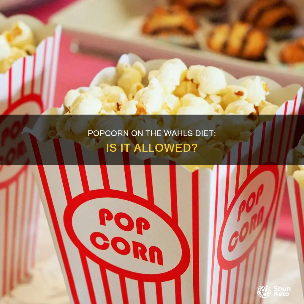 is popcorn allowed on wahls diet