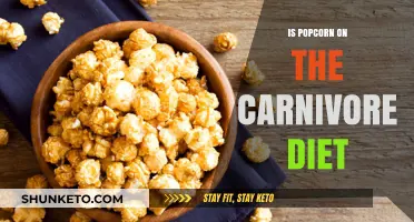Carnivore Diet: Can You Eat Popcorn?