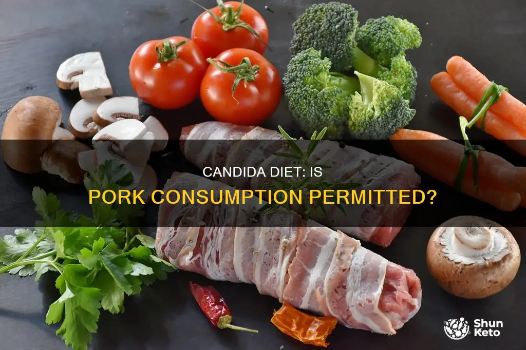 is pork allowed on candida diet