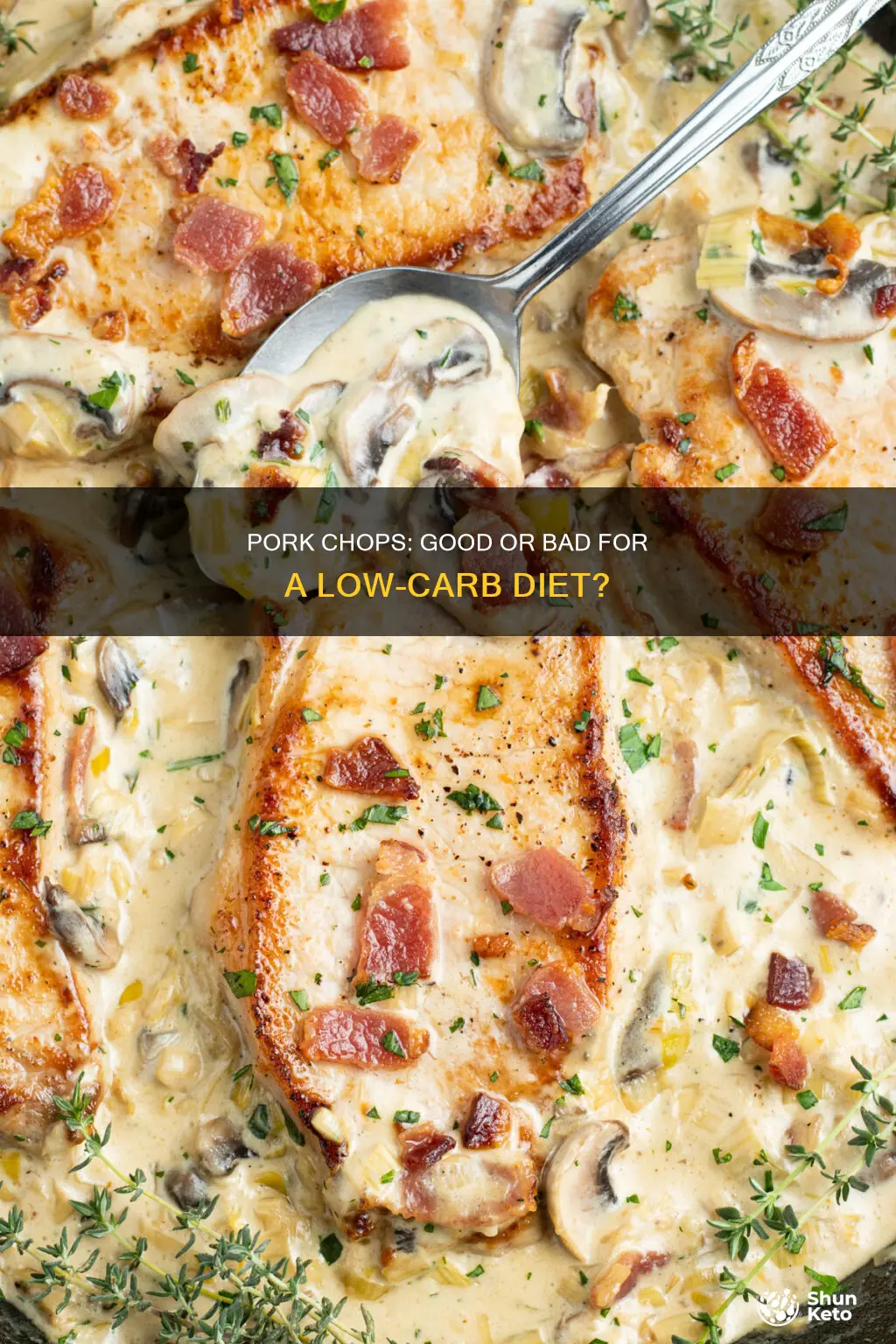 is pork chop for ablow carb diet