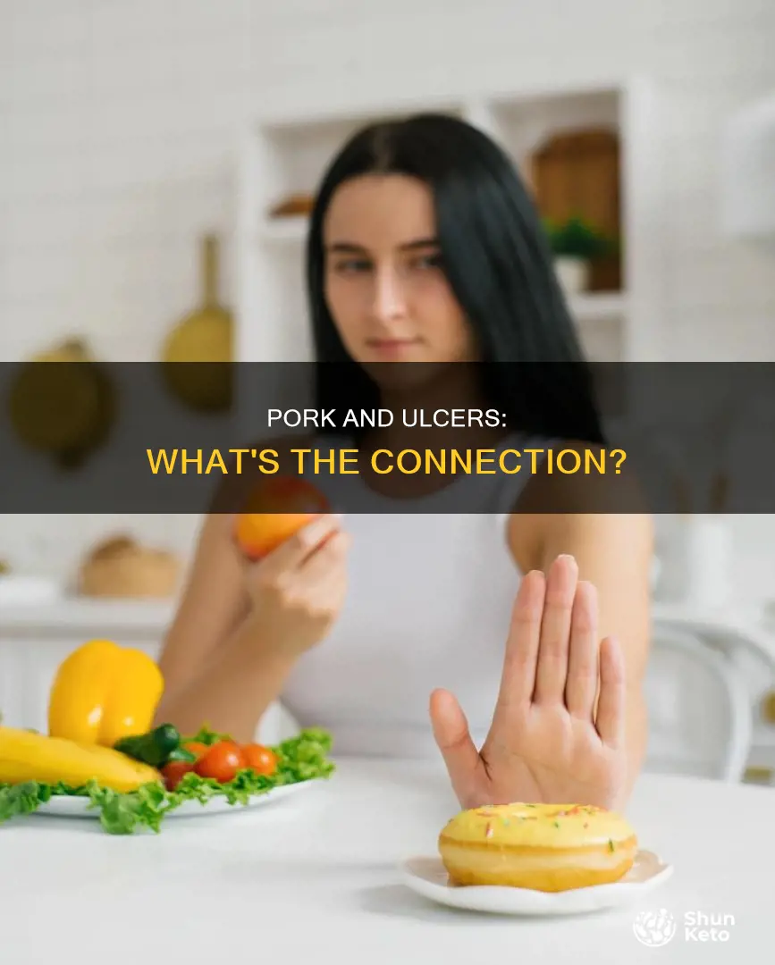 is pork ok on an ulcer diet