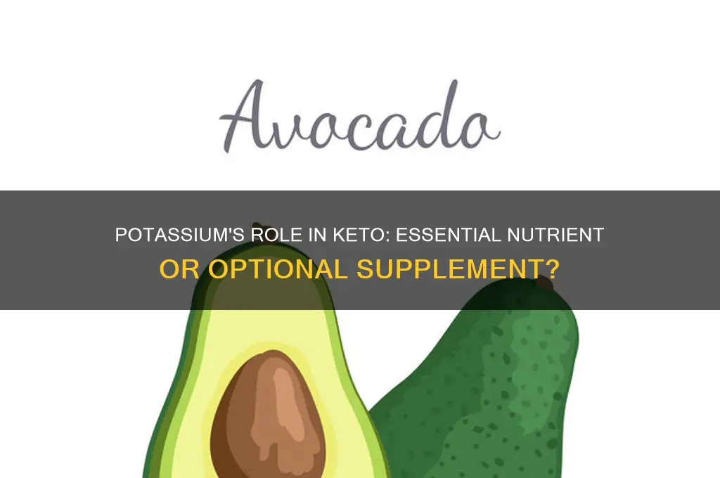 is potassium needed for a keto diet