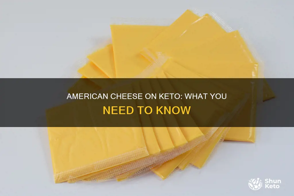 is processed american cheese keto