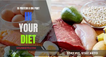 Protein's Role: A Major Dietary Player?