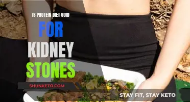 Protein Diet: Kidney Stone Risk and Prevention