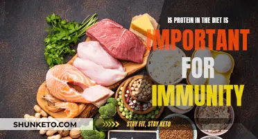 Protein Power: Building Immunity with Diet