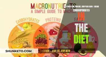 Protein vs Carbs: Which Diet is Superior?