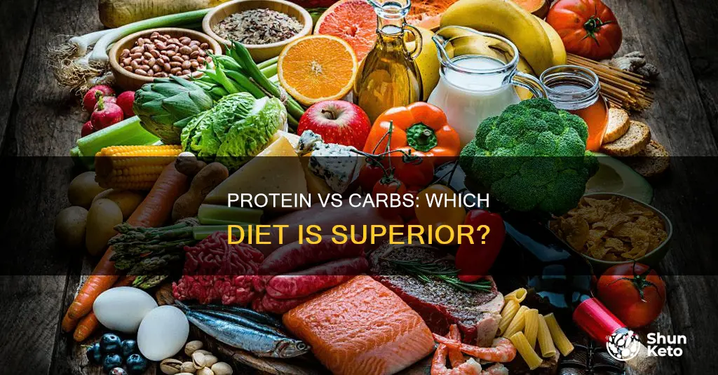 is protein more important than carbohydrates in the diet