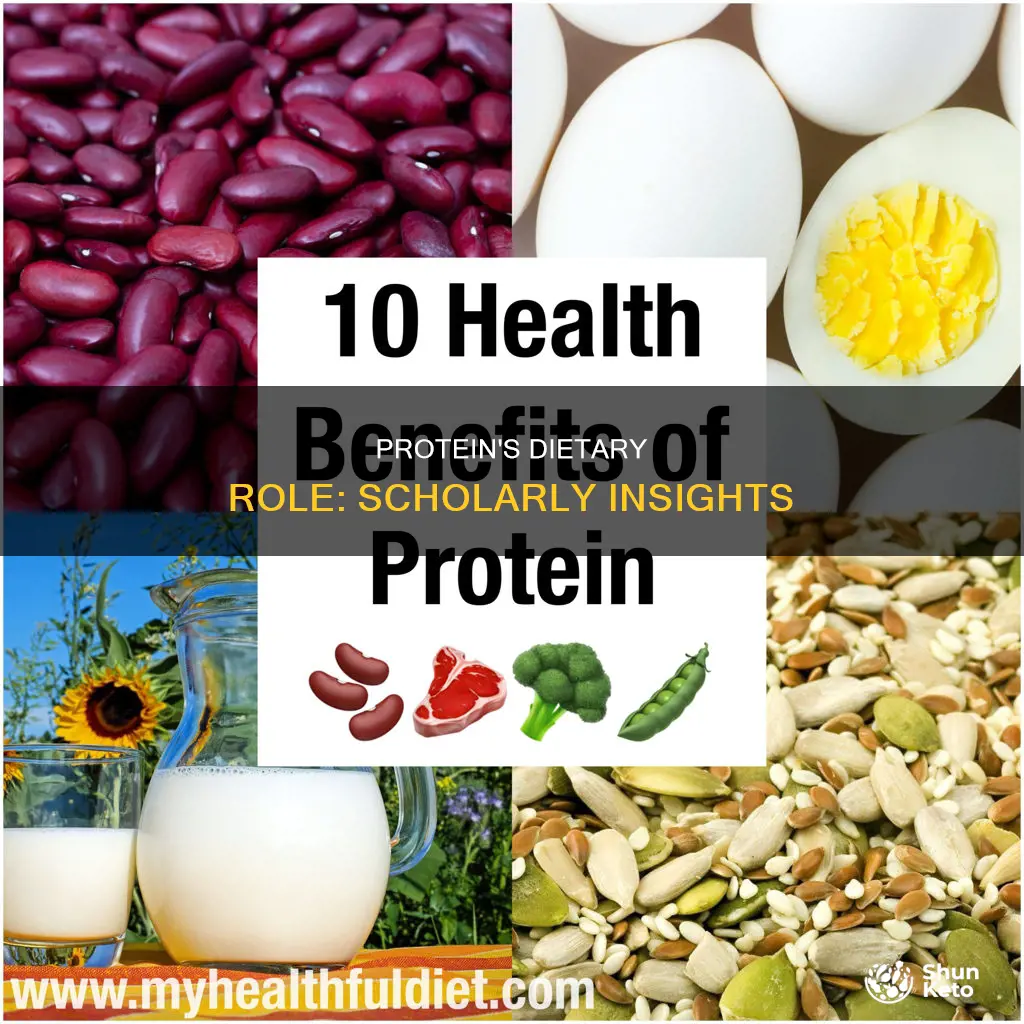 is protein needed in diet scholarly articles