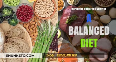 Protein Power: Energy Source in a Balanced Diet