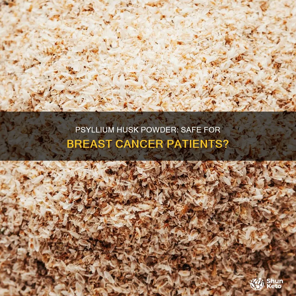 is psyllium husk powder safe for breast cancer diet