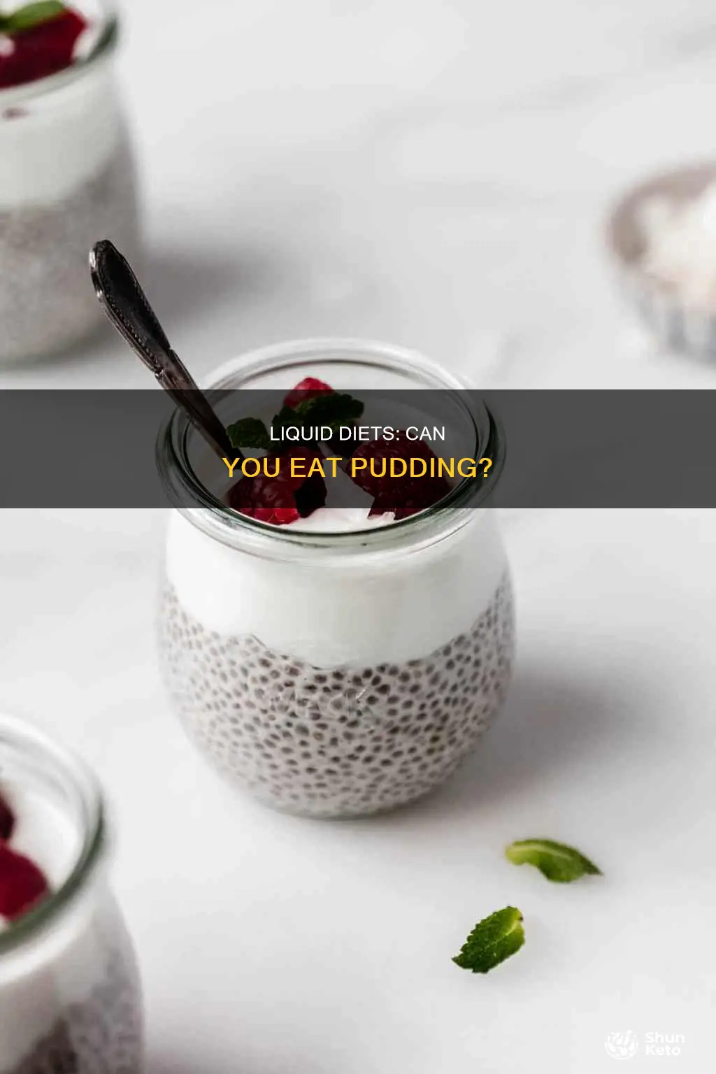 is pudding allowed on a full liquid diet