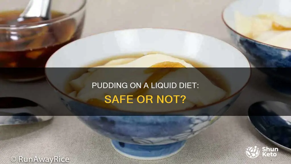 is pudding ok for liquid diet