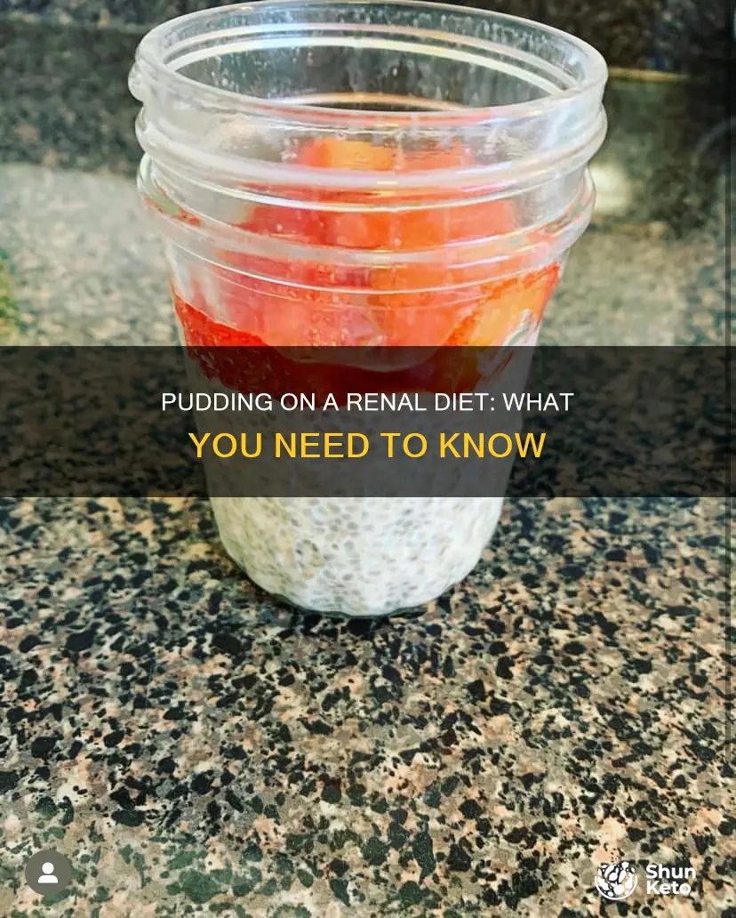 is pudding ok for renal diet