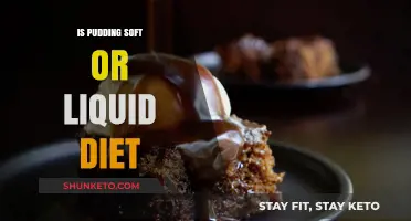 Pudding Soft or Liquid Diet: What's the Texture Like?