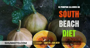 Pumpkin on South Beach Diet: What You Need to Know