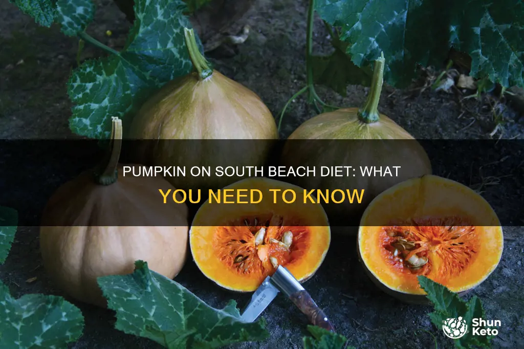 is pumpkin allowed on south beach diet