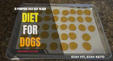 Pumpkin, Eggs, and Rice: A Bland Diet for Dogs?