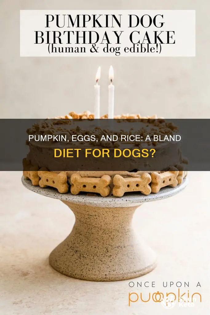 is pumpkin eggs rice bland diet for dogs