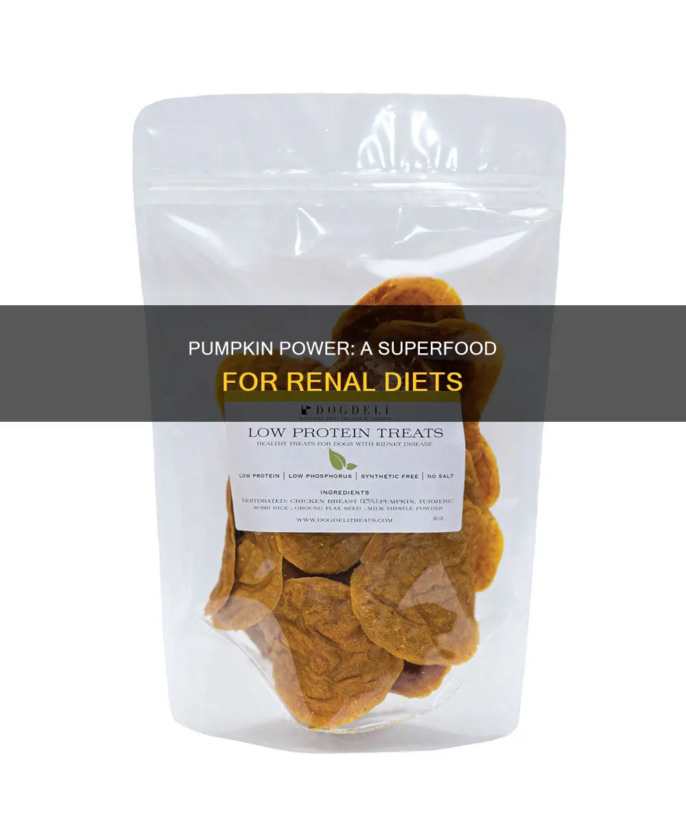 is pumpkin ok for renal diet