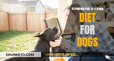 Pumpkin Power: Bland Diet Superfood for Dogs?