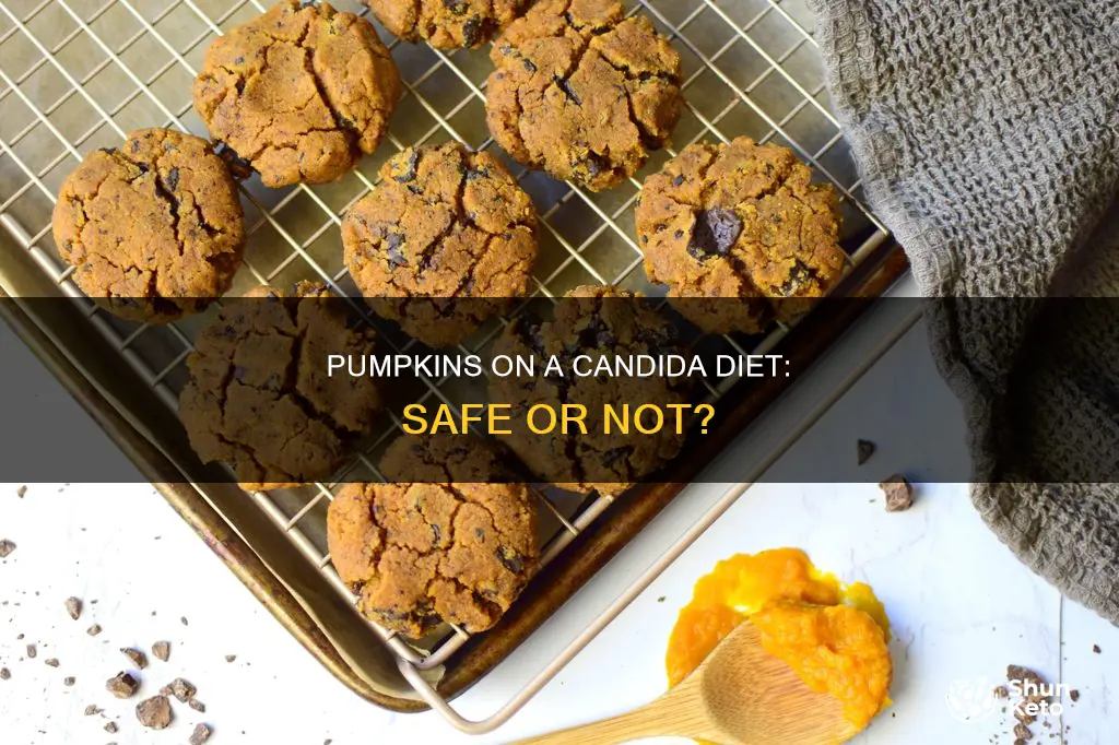 is pumpkins allowed on a candida diet