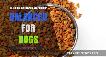 Hydrolyzed Protein Diets: Balanced Nutrition for Dogs?