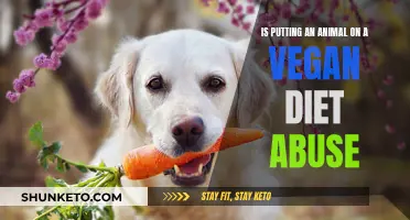 Vegan Pet Diets: Ethical or Abusive?