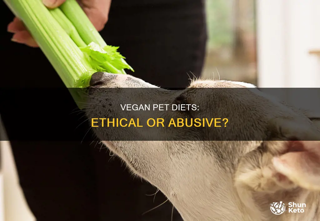 is putting an animal on a vegan diet abuse