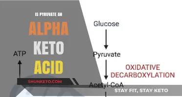 Understanding Pyruvate: Is It Classified as an Alpha Keto Acid?