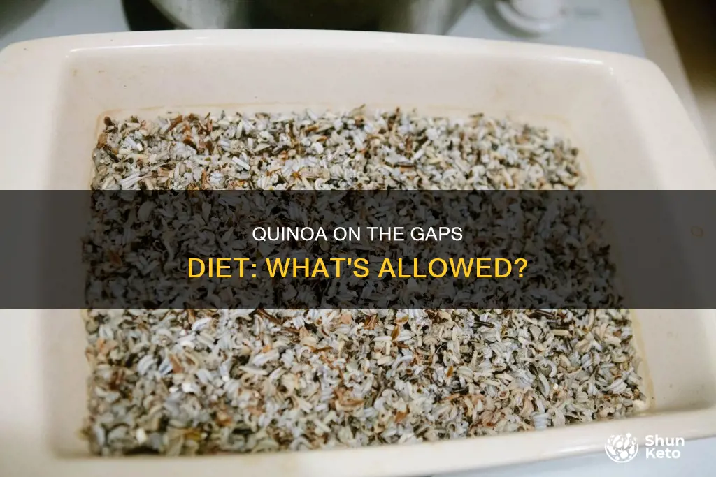 is quinoa allowed on the gaps diet