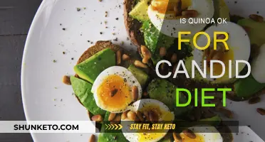 Quinoa and Candida Diet: What You Need to Know