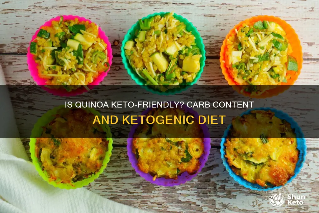 is quinoa ok for ketogenic diet